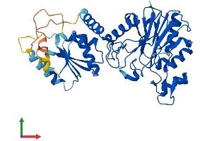 Protein Structure (PS) image for Chromosome 13 Open Reading Frame 31 (C13orf31) (AA 1-430) protein (His tag) (ABIN7559056)