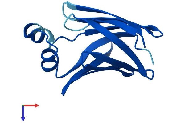 FABP1 Protein (AA 1-127) (His tag)