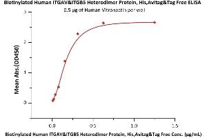 Immobilized Human Vitronectin at 5 μg/mL (100 μL/well) can bind Biotinylated Human ITGAV&ITGB5 Heterodimer Protein, His,Avitag&Tag Free (ABIN5955012,ABIN6253518) with a linear range of 0.