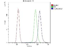 Flow Cytometry analysis of A431 cells using anti-CTBP2 antibody (ABIN3042768).