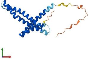 Protein Structure (PS) image for Translocase of Inner Mitochondrial Membrane 17 Homolog B (TIMM17B) (AA 1-172) protein (His tag) (ABIN7556360)
