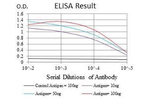 Black line: Control Antigen (100 ng), Purple line: Antigen(10 ng), Blue line: Antigen (50 ng), Red line: Antigen (100 ng), (CD7 Antikörper  (AA 72-175))