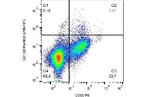 Surface staining of human peripheral blood with anti-CD158f purified / GAM-APC. (KIR2DL5A Antikörper)