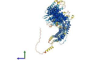 Protein Structure (PS) image for Fanconi Anemia Complementation Group I (FANCI) (AA 1-1330) protein (His tag) (ABIN7564645)
