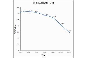 Antigen: 0. (TSH receptor Antikörper  (AA 501-600))