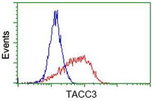 Flow cytometric Analysis of Jurkat cells, using anti-TACC3 antibody (ABIN2453706), (Red), compared to a nonspecific negative control antibody (ABIN2453706), (Blue). (TACC3 Antikörper)
