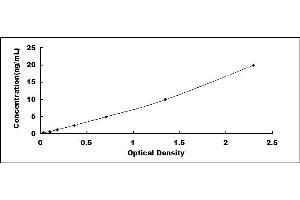 Typical standard curve (COL10 ELISA Kit)