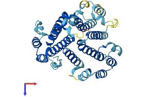 ATP6V0D1 Protein (AA 1-351) (His tag)