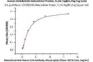 CD3E & CD3G (AA 23-126) (Active) protein (His tag,Fc Tag,DYKDDDDK Tag)
