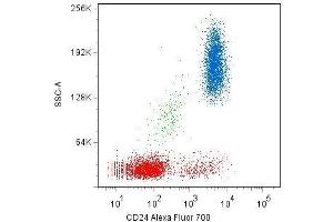 Surface staining of human peripheral blood cells with anti-CD24 (SN3) Alexa Fluor® 700. (CD24 Antikörper  (FITC))