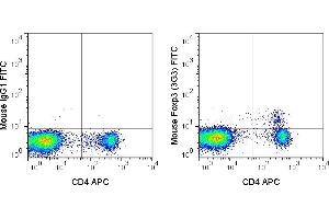 C57Bl/6 splenocytes were stained with APC Anti-Mouse CD4 (ABIN6961414), followed by intracellular staining with 0. (FOXP3 Antikörper  (FITC))