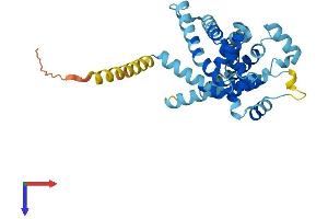 SLC25A38 Protein (AA 1-326) (His tag)