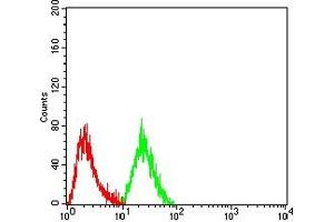 Flow cytometric analysis of Hela cells using CDKN2A/P16 mouse mAb (green) and negative control (red). (Tumor Suppressor ARF (CDKN2A) (AA 1-156) Antikörper)