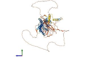 Protein Structure (PS) image for G Protein-Coupled Receptor 149 (GPR149) (AA 1-731) protein (His tag) (ABIN7548053)