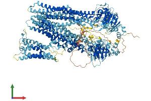 Protein Structure (PS) image for ATP-Binding Cassette, Sub-Family C (CFTR/MRP), Member 2 (ABCC2) (AA 1-1545) protein (His tag) (ABIN7554630)