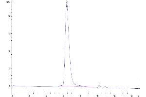 Size-exclusion chromatography-High Pressure Liquid Chromatography (SEC-HPLC) image for Interleukin 15 Receptor, alpha (IL15RA) (AA 31-205) protein (His-Avi Tag) (ABIN7274956)