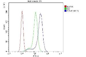 Flow Cytometry analysis of K562 cells using anti-COMT antibody (ABIN7601948). (COMT Antikörper  (AA 52-271))