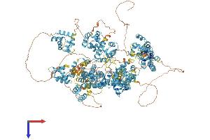 EFCAB6 Protein (AA 1-1516) (His tag)