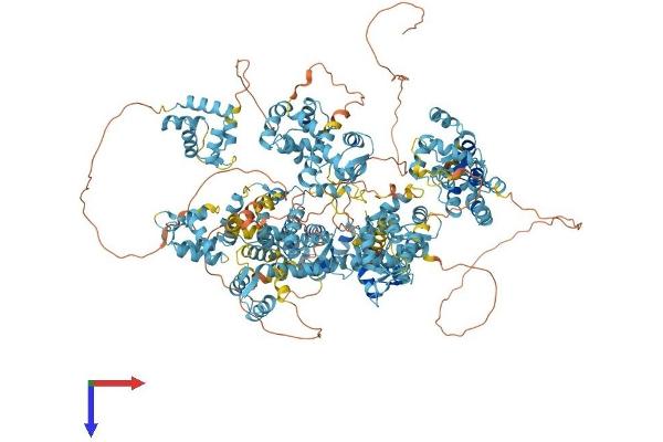 EFCAB6 Protein (AA 1-1516) (His tag)