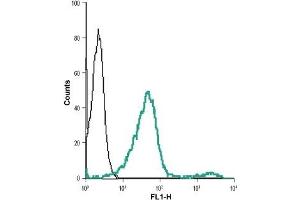 Cell surface detection of VPAC2 in live intact human Jurkat cell line: (black line) Cells + goat-anti-rabbit-DyLight-488. (VIPR2 Antikörper  (Extracellular))