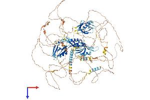 PARD3B Protein (AA 1-1205) (His tag)