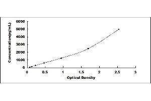 Typical standard curve (CKB ELISA Kit)