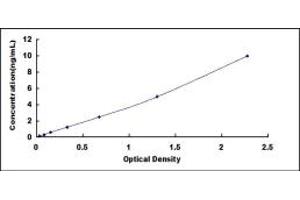 Typical standard curve (IL4I1 ELISA Kit)