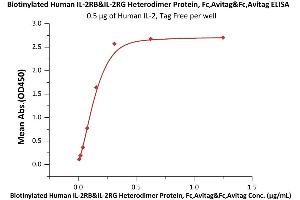 Immobilized Human IL-2, Tag Free (ABIN6386425,ABIN6388245) at 5 μg/mL (100 μL/well) can bind Biotinylated Human IL-2RB&IL-2RG Heterodimer Protein, Fc,Avitag&Fc,Avitag (ABIN6973116) with a linear range of 0.