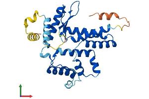 AlphaFold protein structure predicition of Human Recombinant LIX1 Protein, UniprotID Q8N485