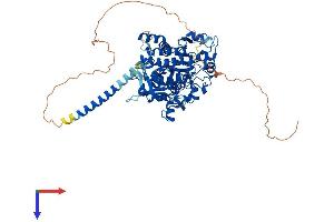 MTMR7 Protein (AA 1-660) (His tag)