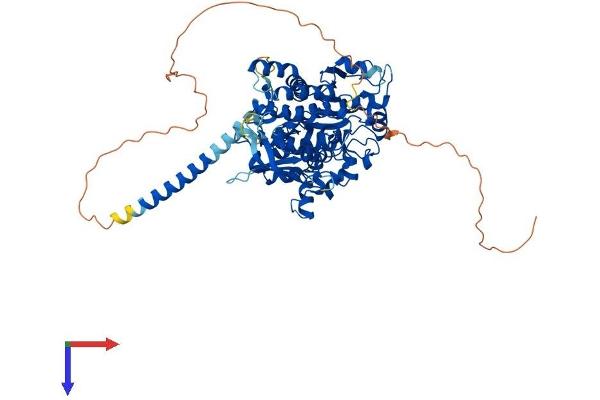 MTMR7 Protein (AA 1-660) (His tag)