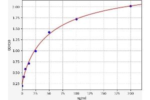 Afamin (AFM) ELISA Kit