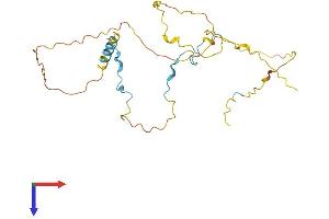 CDCA3 Protein (AA 1-266) (His tag)