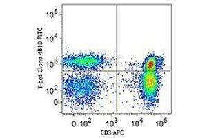 Flow Cytometry (FACS) image for anti-T-Bet antibody (FITC) (ABIN2661996) (T-Bet Antikörper  (FITC))