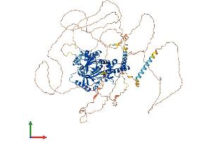 Protein Structure (PS) image for PHD Finger Protein 8 (PHF8) (AA 1-1023) protein (His tag) (ABIN7564234)