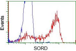 Flow Cytometry (FACS) image for anti-Sorbitol Dehydrogenase (SORD) antibody (ABIN1501073) (SORD Antikörper)