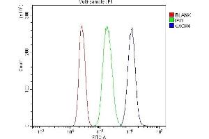 Flow Cytometry analysis of U937 cells using anti-CXCR4 antibody (ABIN7600411). (CXCR4 Antikörper  (AA 19-334))