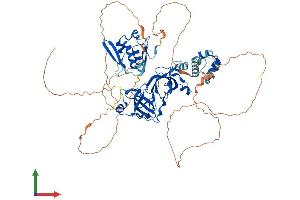 AlphaFold protein structure predicition of Human Recombinant SCML2 Protein, UniprotID Q9UQR0 (SCML2 Protein (AA 1-700) (His tag))