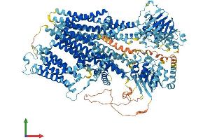 Protein Structure (PS) image for ATP-Binding Cassette, Sub-Family C (CFTR/MRP), Member 9 (ABCC9) (AA 1-1549) protein (His tag) (ABIN7551795)
