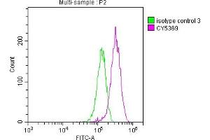 Overlay histogram showing HepG2 cells stained with ABIN7127600 (red line) at 1:50. (Rekombinanter LGR5 Antikörper)