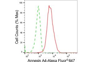 Flow cytometric analysis of Annexin A4 expression in C2C12 cells using Annexin A4 antibody (ABIN7797620), 1:2,000).
