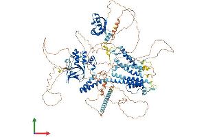 AlphaFold protein structure predicition of Mouse Recombinant Kcnh2 Protein, UniprotID O35219