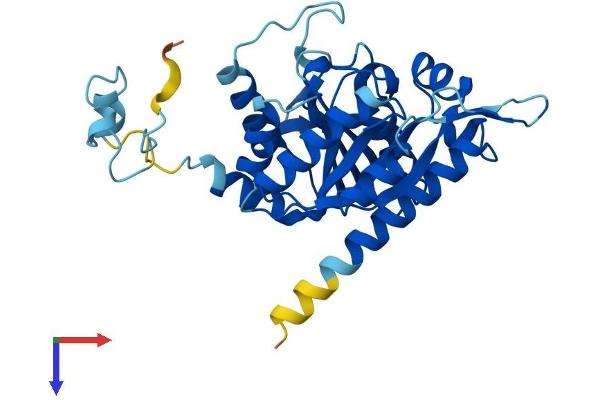 NUBP1 Protein (AA 1-320) (His tag)
