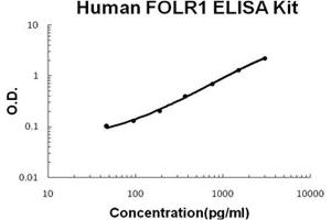 FOLR1 ELISA Kit