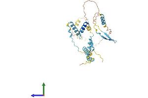 Protein Structure (PS) image for Hydrolethalus Syndrome 1 (HYLS1) (AA 1-307) protein (His tag) (ABIN7560733)