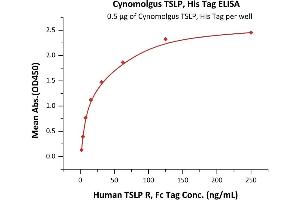Immobilized Cynomolgus TSLP, His Tag (ABIN6973299) at 5 μg/mL (100 μL/well) can bind Human TSLP R, Fc Tag (ABIN5954970,ABIN6253631) with a linear range of 2-31 ng/mL (QC tested). (Thymic Stromal Lymphopoietin Protein (TSLP) (AA 29-159) (His tag))