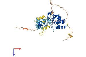 DUSP6 Protein (AA 1-381) (His tag)