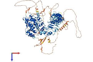 KDM2A Protein (AA 1-1161) (His tag)
