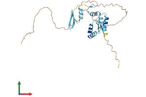 Protein Structure (PS) image for Ovo-Like 2 (OVOL2) (AA 1-274) protein (His tag) (ABIN7559382)