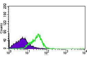Flow cytometric analysis of HEK293 cells using DNAL4 mouse mAb (green) and negative control (purple). (DNAL4 Antikörper  (AA 1-105))